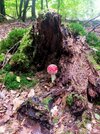 IMG20251003113303.jpg