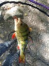 IMG_20251003_154625.jpg