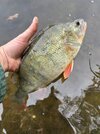 IMG_6829.jpeg