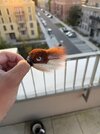 IMG_2964.jpeg