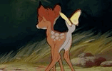 B6B31BA9-DFB7-46FF-96FD-FF6C64E7B22F.GIF