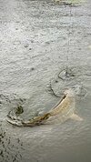 IMG_4749.jpeg