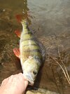 IMG_20251005_160936.jpg