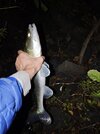 IMG_20251005_215526.jpg