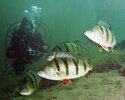IMG_3369.jpeg