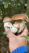 IMG-20251007-WA0005.jpg