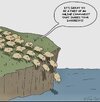 IMG_2120.jpeg