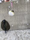 IMG_5212.jpeg