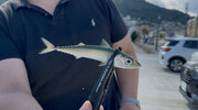 IMG_7488.jpeg