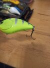 IMG_20251010_170959.jpg