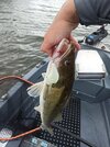 IMG_20250716_140050.jpg