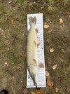 IMG_2883.jpeg