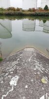IMG_20251011_123557.jpg