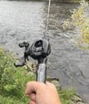 IMG_1426.jpeg
