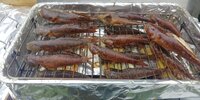 IMG_20251012_083414.jpg