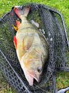 IMG_7908.jpeg