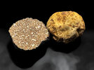3 Tartufi 251016.JPG
