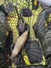 IMG_1893.jpeg