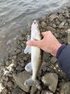 IMG_8282.jpeg