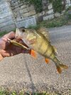 IMG_4060.jpeg
