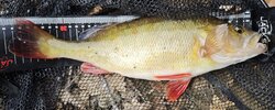 IMG_20251018_102443.jpg