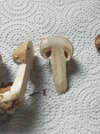 IMG20251018141721.jpg