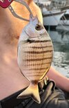 IMG_8291.jpeg