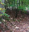 IMG_20251019_200321.jpg