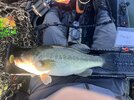 IMG_6937.jpeg