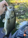 IMG_6956.jpeg