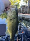 IMG_6959.jpeg