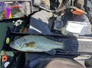 IMG_6962.jpeg