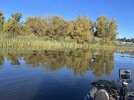 IMG_7318.jpeg