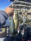IMG_7322.jpeg
