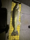 IMG_1400.jpeg