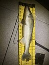 IMG_1387.jpeg