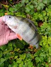 IMG_20251020_162333.jpg