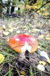 IMG_20251020_174420~2.jpg