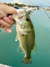 IMG_4287.jpeg