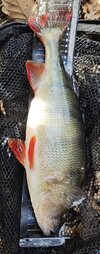 IMG_20251021_120207.jpg