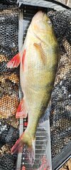 IMG_20251021_120123.jpg