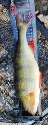 IMG_20251021_120046.jpg