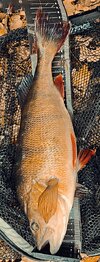 IMG_20251021_154034.jpg