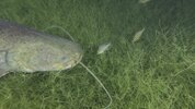 VideoCapture_20251021-223312.jpg