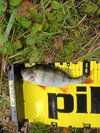 IMG_20251022_131344.jpg