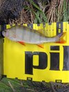 IMG_20251022_132644.jpg