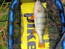 IMG_20251022_145459.jpg