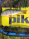 IMG_20251022_151656.jpg