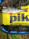 IMG_20251022_154235.jpg