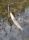IMG_20251023_091616.jpg
